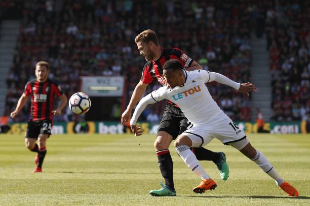 主教练莱特 主教练莱特