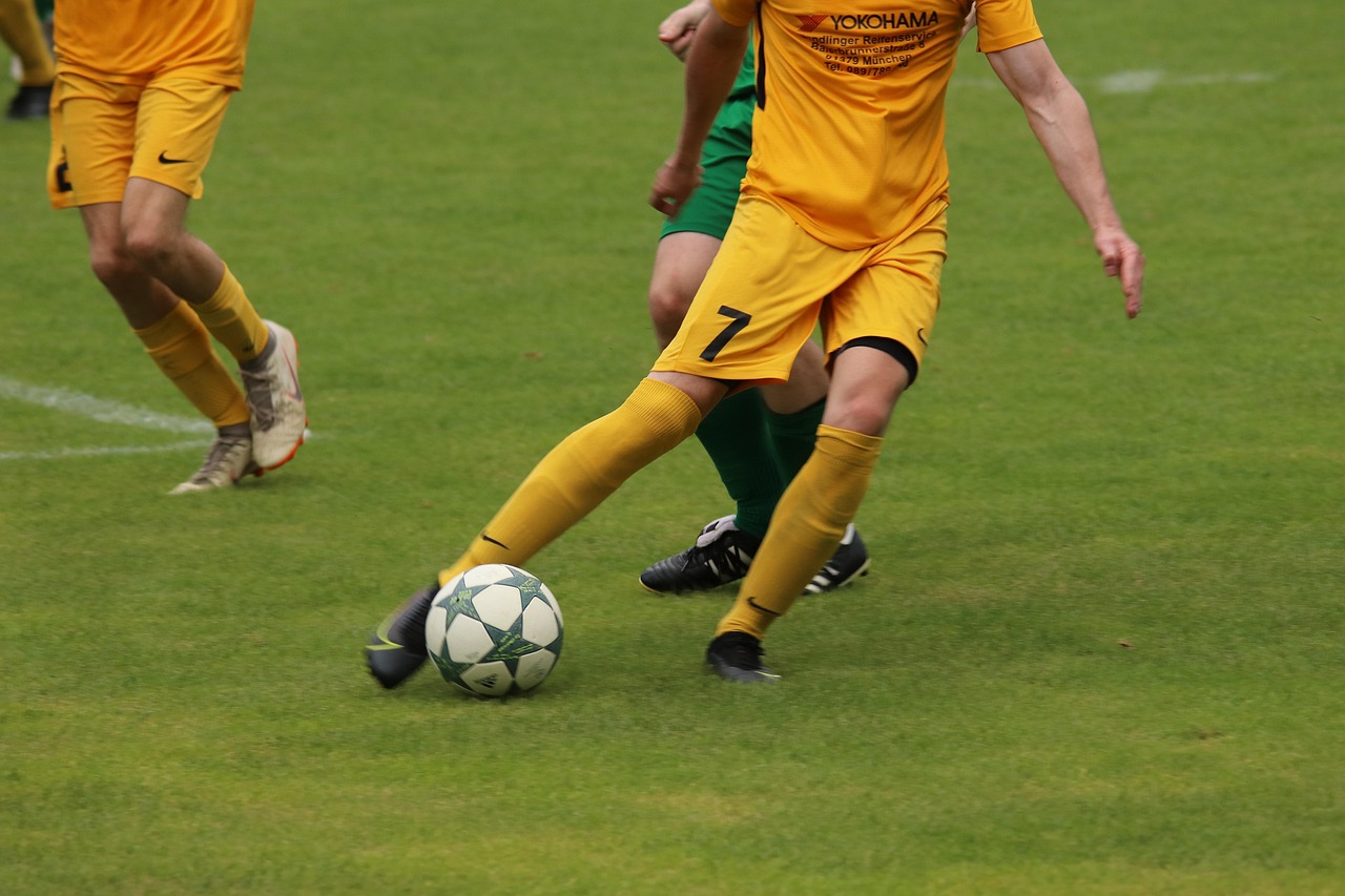 证明他们实 证明他们实